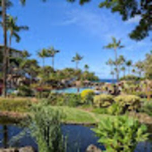 Meet your Posher, Kerry